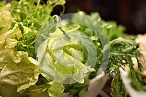 Fresh Green Leafy Vegetables Close-Up
