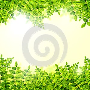 Fresh Green leaves background