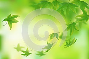 Fresh green leaves background