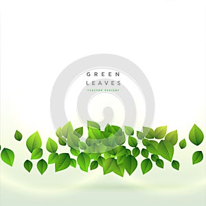 Fresh green leaves background design