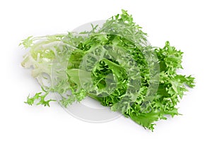 Fresh green leaves of endive frisee chicory salad isolated on white background with clipping path and full depth of