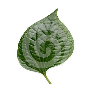 fresh green leaves isolated on a white background