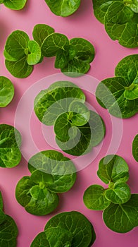 Fresh Green Leaves on Pink Background Beautiful Vibrant Nature Pattern Healthy Organic Greens Modern Minimalistic Botanical Design