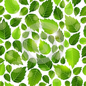 Fresh green leaves seamless background pattern