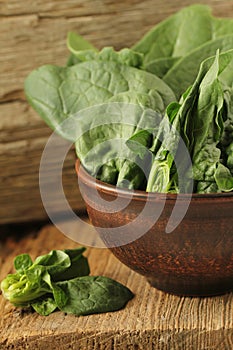 Fresh green leaves of spinach in a bowl on old wooden background