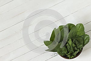 Fresh green leaves of spinach in a bowl on a white wooden background.