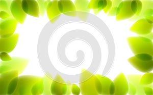 Fresh green leaves summer or spring blurred defocused, realistic bright vector illustration with copy space photo