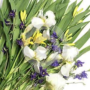 Fresh green leaves , yellow lily buds,white iris flowers,blue bells and dew drops.Beautiful natural background