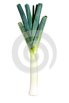 Fresh, green leek over white.