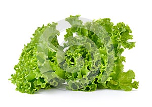 Fresh green lettuce isolated on white background