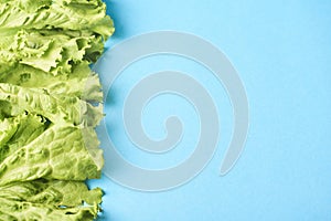 Fresh green lettuce leafes isolated on turquoise