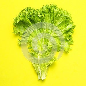 Fresh green lettuce leaves on bright yellow background flat lay top view. Creative background with salad, healthy vegetarian food