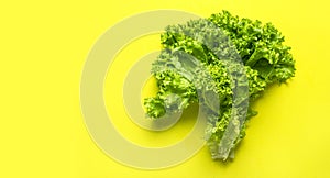 Fresh green lettuce leaves on bright yellow background flat lay top view. Creative background with salad, healthy vegetarian food