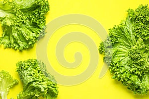 Fresh green lettuce leaves on bright yellow background flat lay top view. Creative background with salad, healthy vegetarian food