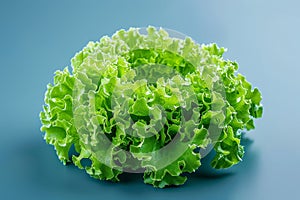 fresh green lettuce leaves photo