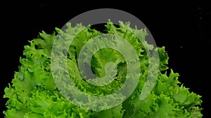 Fresh, green lettuce leaves swirling on a black background. Rotate the center of the frame