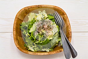Fresh green lettuce salad in a bowl isolated