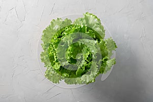 Fresh green lettuce salad leaves on gray background.