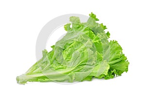 Fresh green lettuce salad leaves isolated on white