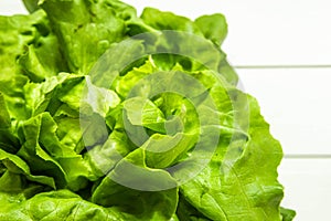 Fresh green lettuce salad on white background closeup. Seasonal vegetables and summer diet concept.