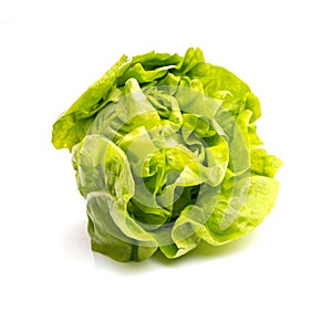 Fresh green lettuce on white background