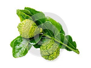 Fresh green lime. Kafir