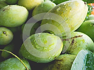 Fresh green mangoes.