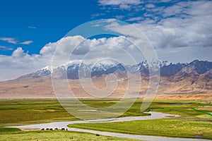 Fresh green meadows of prairie and snow-capped mountain ranges