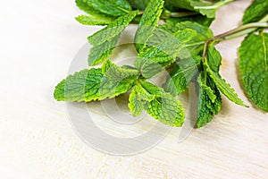 Fresh green mint leaves with copy space on light wooden background.