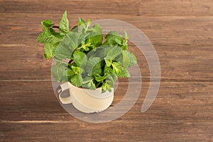 Fresh green mint leaves in a metal cup on a wooden dark background. Mentha piperita plant