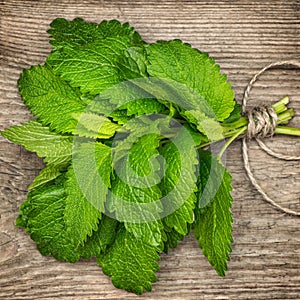 Fresh green mint leaves over rustic wooden background