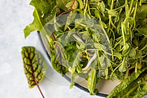 Fresh green mixed salad with microgreens with water drops on a plate, blue concrete background. Healthy food. Top view