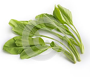Fresh green mustard greens or caisim isolated white background top view