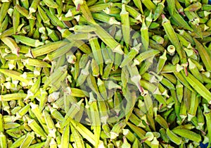 Fresh green okra