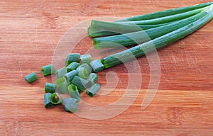 Fresh green onion