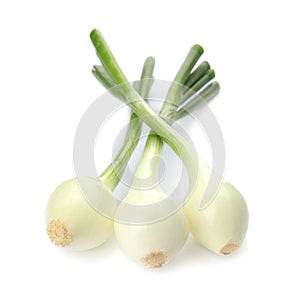 Fresh green onion on white