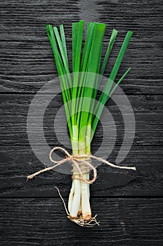 Fresh green onion on a wooden background