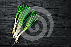 Fresh green onion on a wooden background.