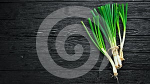 Fresh green onion on a wooden background.