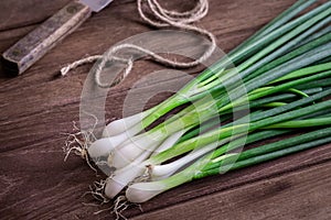 Fresh green onion on wooden table