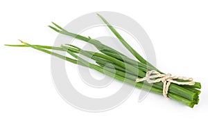 Fresh green onions