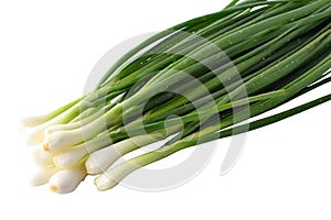 The fresh green onions