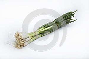 Fresh green onions bonded together lying on white background