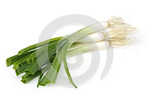 Fresh green onions