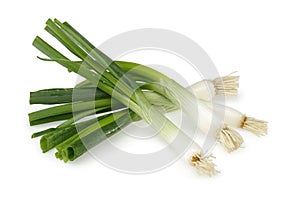 Fresh green onions