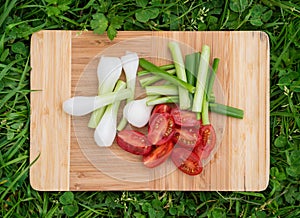 Fresh green onions and cherry tomatoes on the old wooden cutting board, closeup food, outdoors shot.