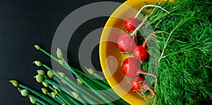 Fresh green onions, dill and radishes on black wooden background, top view. Copy space. Health benefits of fresh herbs and