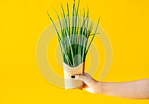 Fresh green onions in fast food paper box in woman hand on bright yellow background