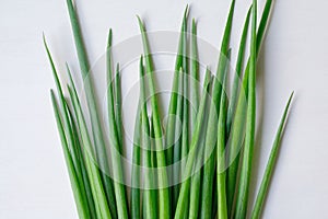 Fresh green onions isolated on white background