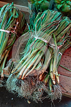 Fresh green onions or spring onions sold at a market it Italy